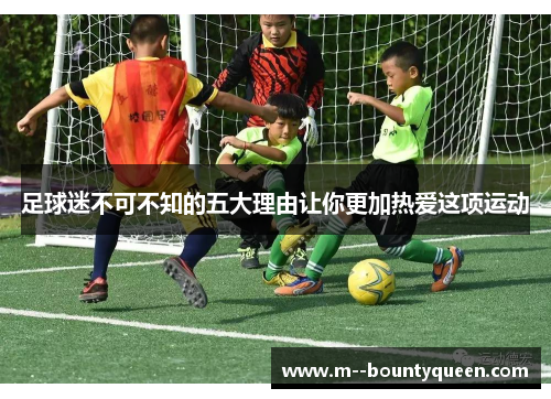 足球迷不可不知的五大理由让你更加热爱这项运动