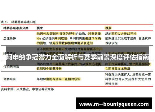 阿申纳争冠潜力全面解析与赛季前景深度评估指南