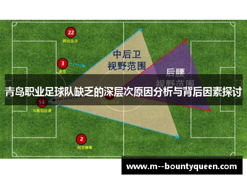 青岛职业足球队缺乏的深层次原因分析与背后因素探讨