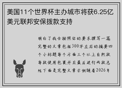美国11个世界杯主办城市将获6.25亿美元联邦安保拨款支持 美国11个世界杯主办城市将获6.25亿美元联邦安保拨款支持